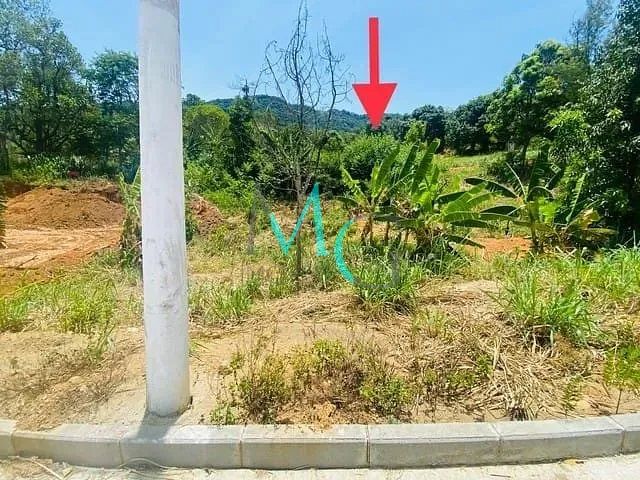 Terreno, 176 m² - Foto 6
