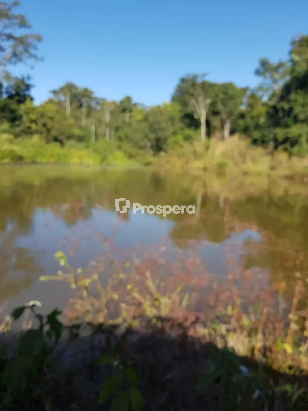 Terreno, 168 hectares - Foto 4
