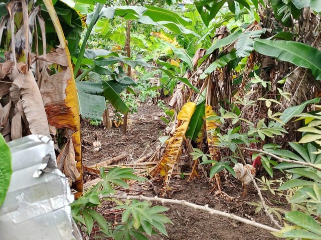 Terreno com 390m², à venda, no bairro Extensão Novo Rio das Ostras em Rio das Ostras