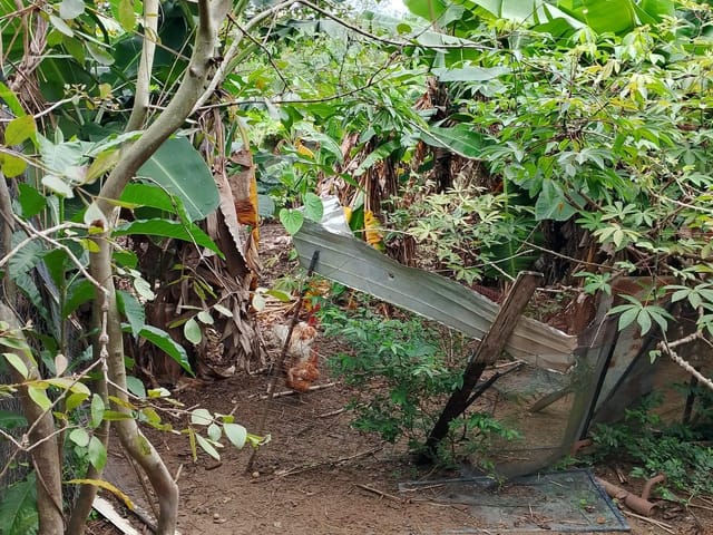 Terreno com 390m², à venda, no bairro Extensão Novo Rio das Ostras em Rio das Ostras