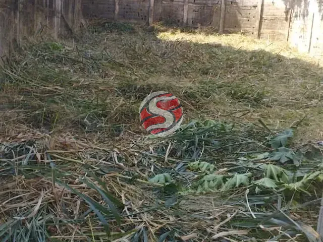 Terreno com 295m², à venda, no bairro Vila Mafra em São Paulo