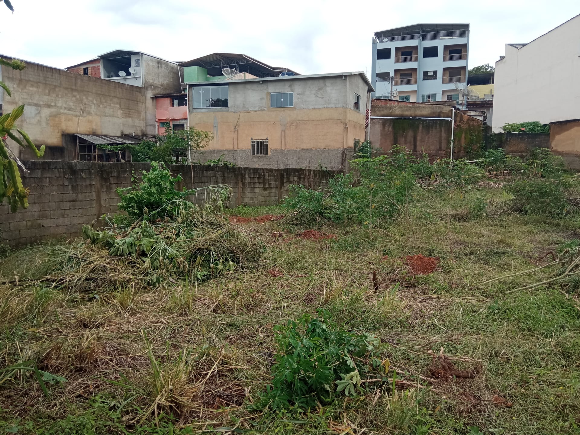 Terreno à venda 1165.19M², Santa Isabel, RIO POMBA - MG - foto 7
