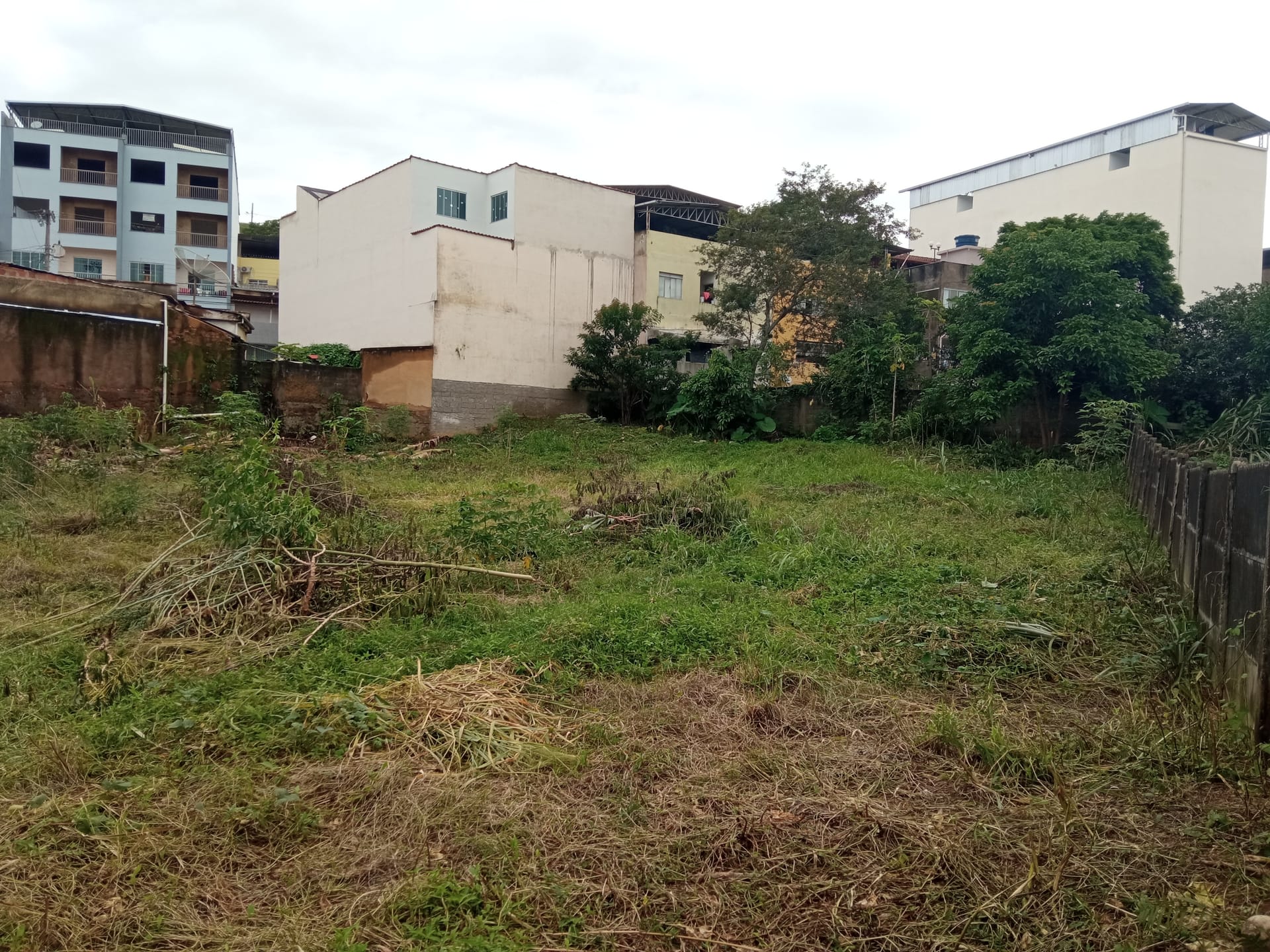 Terreno à venda 1165.19M², Santa Isabel, RIO POMBA - MG - foto 4