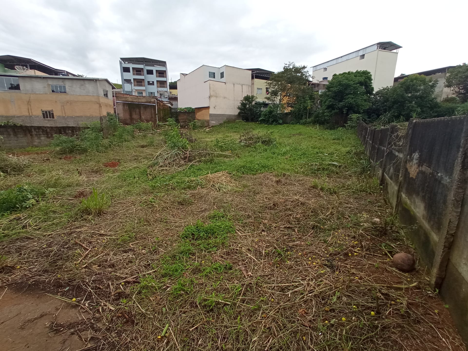 Terreno à venda 1165.19M², Santa Isabel, RIO POMBA - MG - foto 2