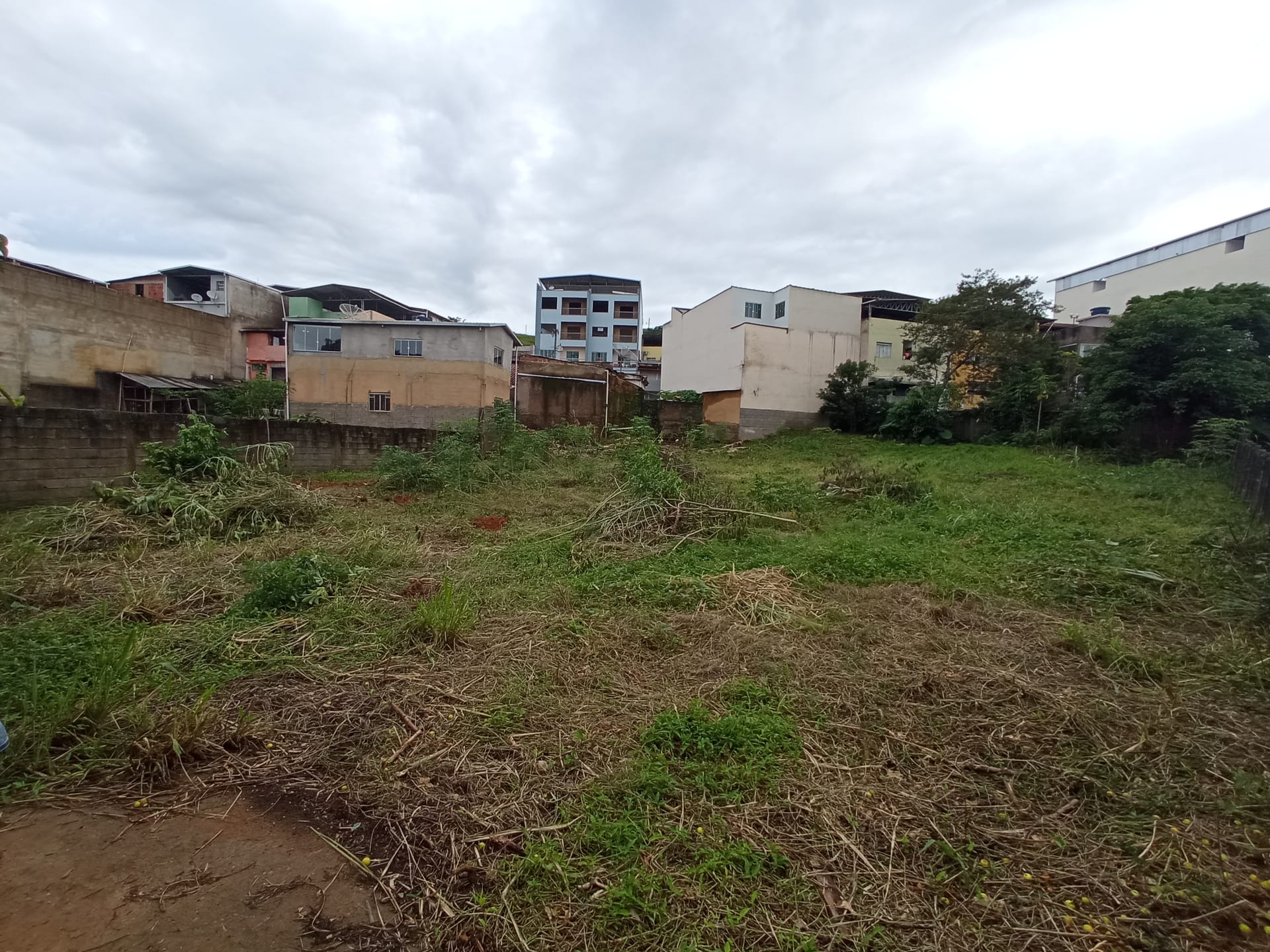 Terreno à venda 1165.19M², Santa Isabel, RIO POMBA - MG - foto 3