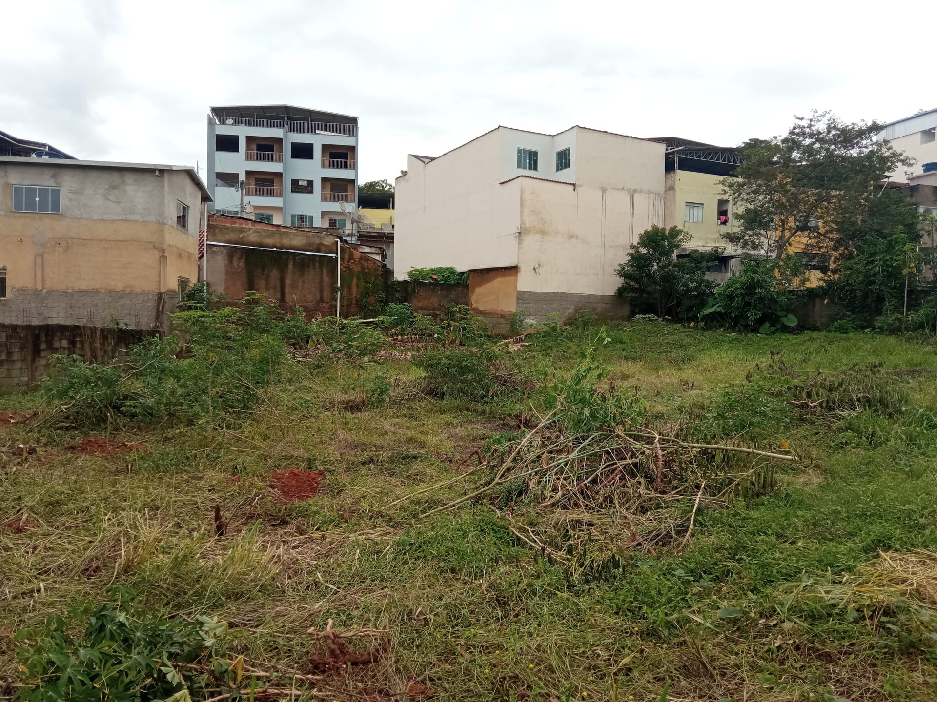 Terreno à venda 1165.19M², Santa Isabel, RIO POMBA - MG - foto 5