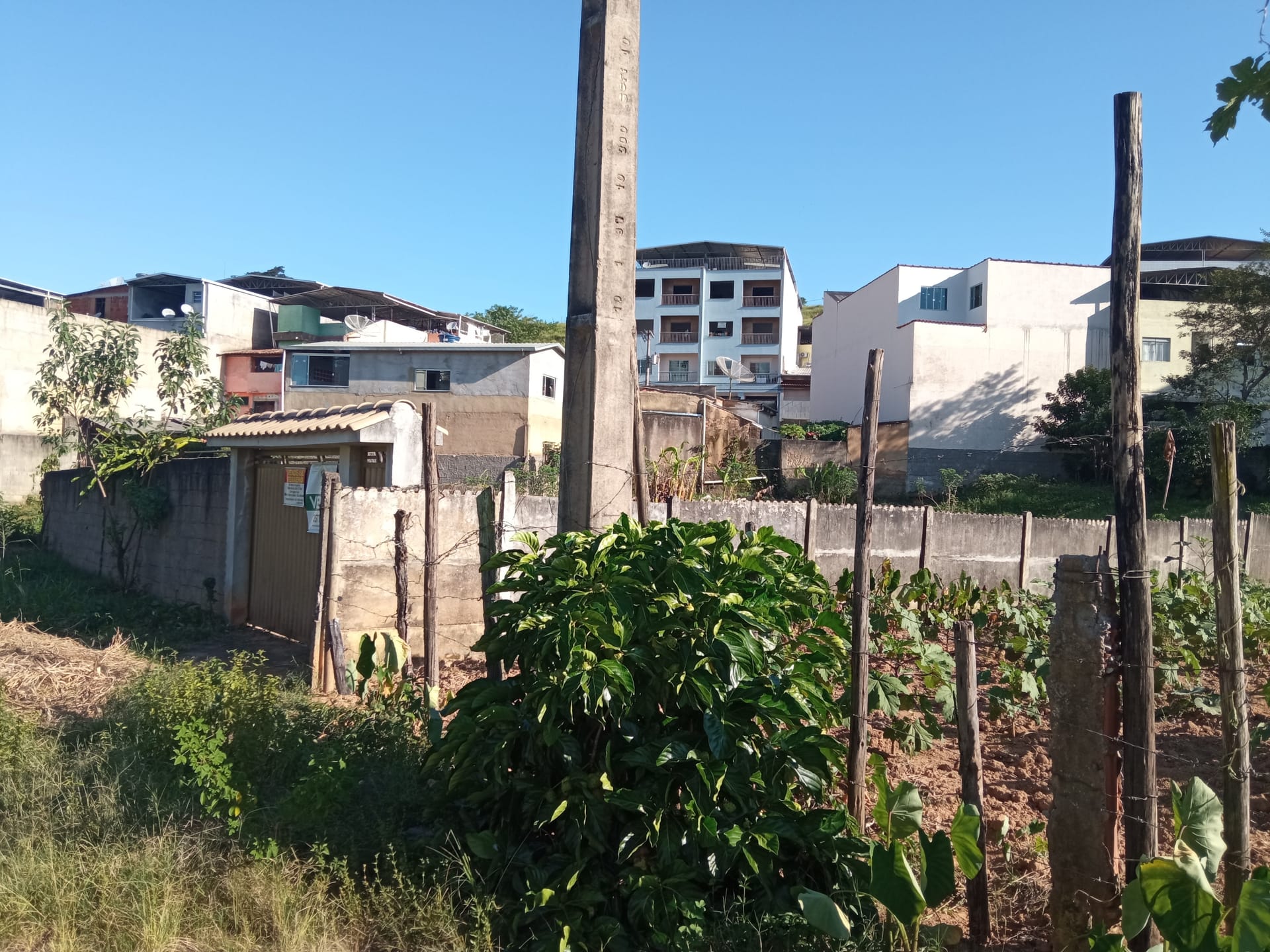Terreno à venda 1165.19M², Santa Isabel, RIO POMBA - MG - foto 11