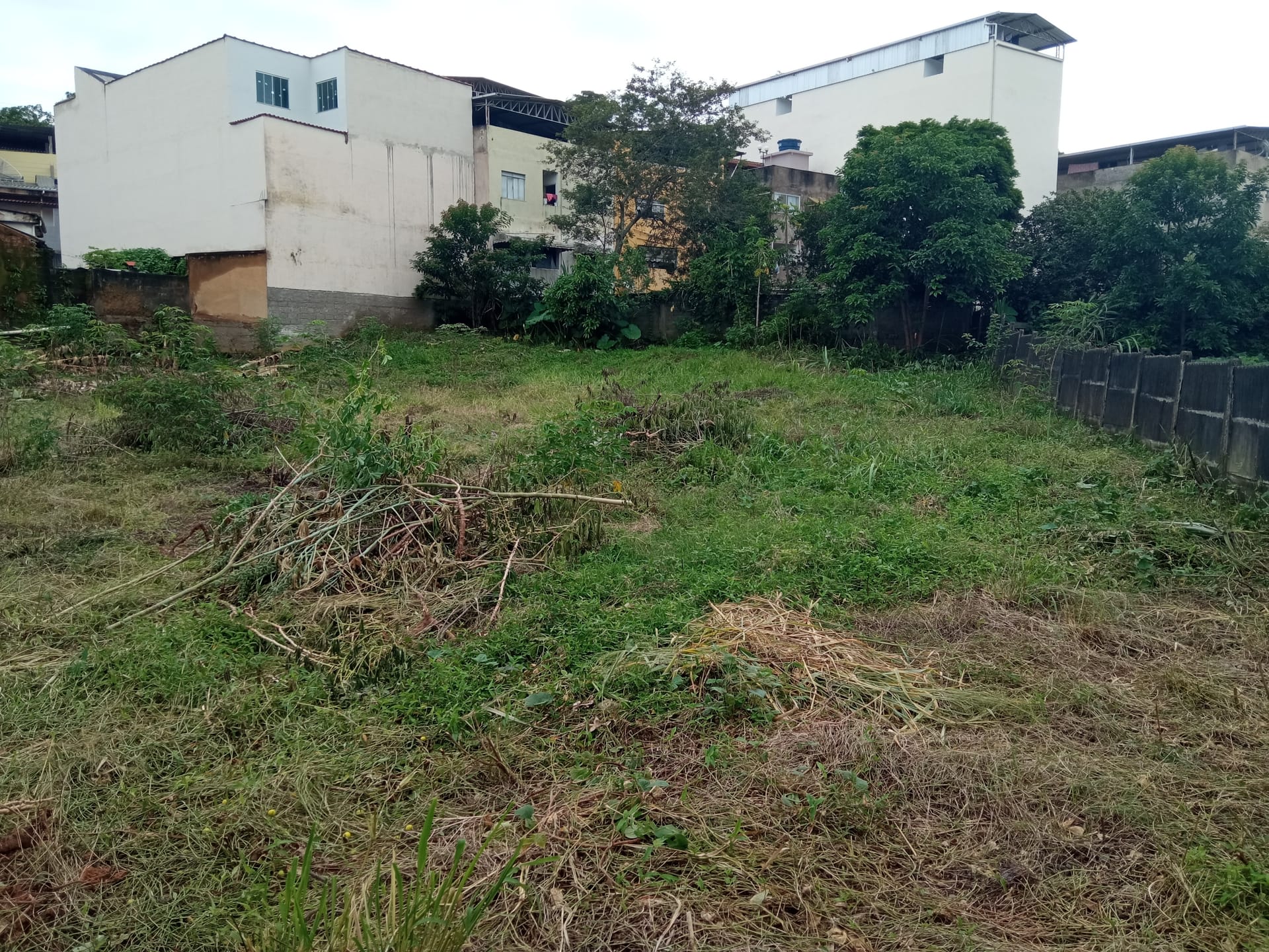 Terreno à venda 1165.19M², Santa Isabel, RIO POMBA - MG - foto 6
