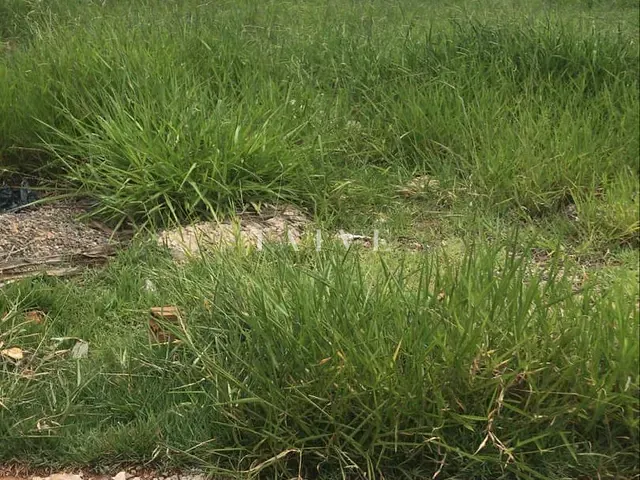 Terreno com 340m², à venda, no bairro Marumbi em Londrina