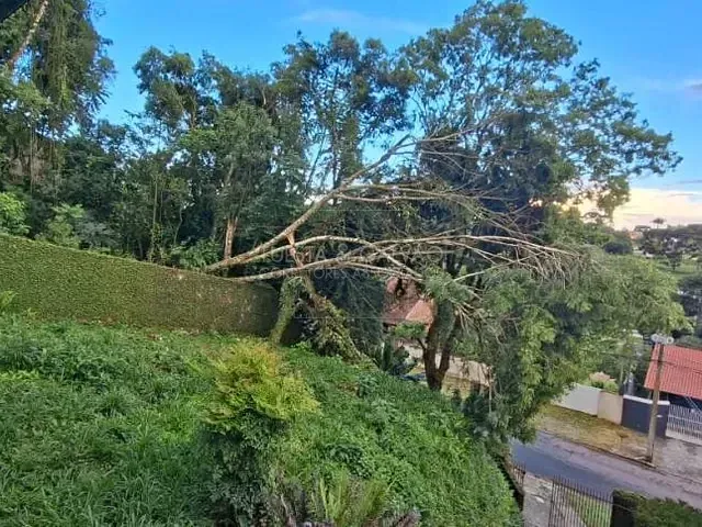 Terreno com 600m², à venda, no bairro Santa Felicidade em Curitiba