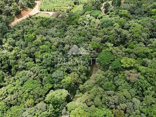 Terreno com 30777m², à venda, no bairro Área Rural em Luiz Alves