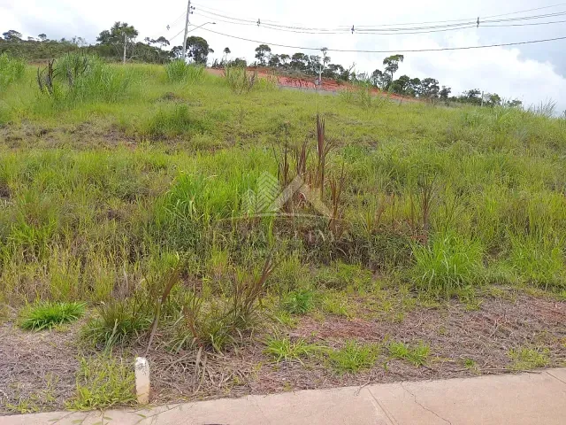 Terreno com 480m², à venda, no bairro Vina Del Mar em Juiz de Fora