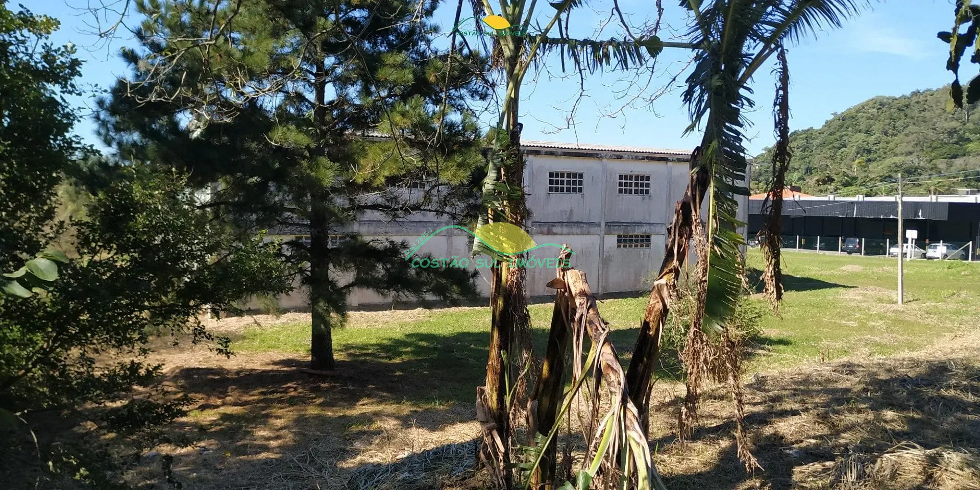 Terreno, 2 hectares - Foto 12