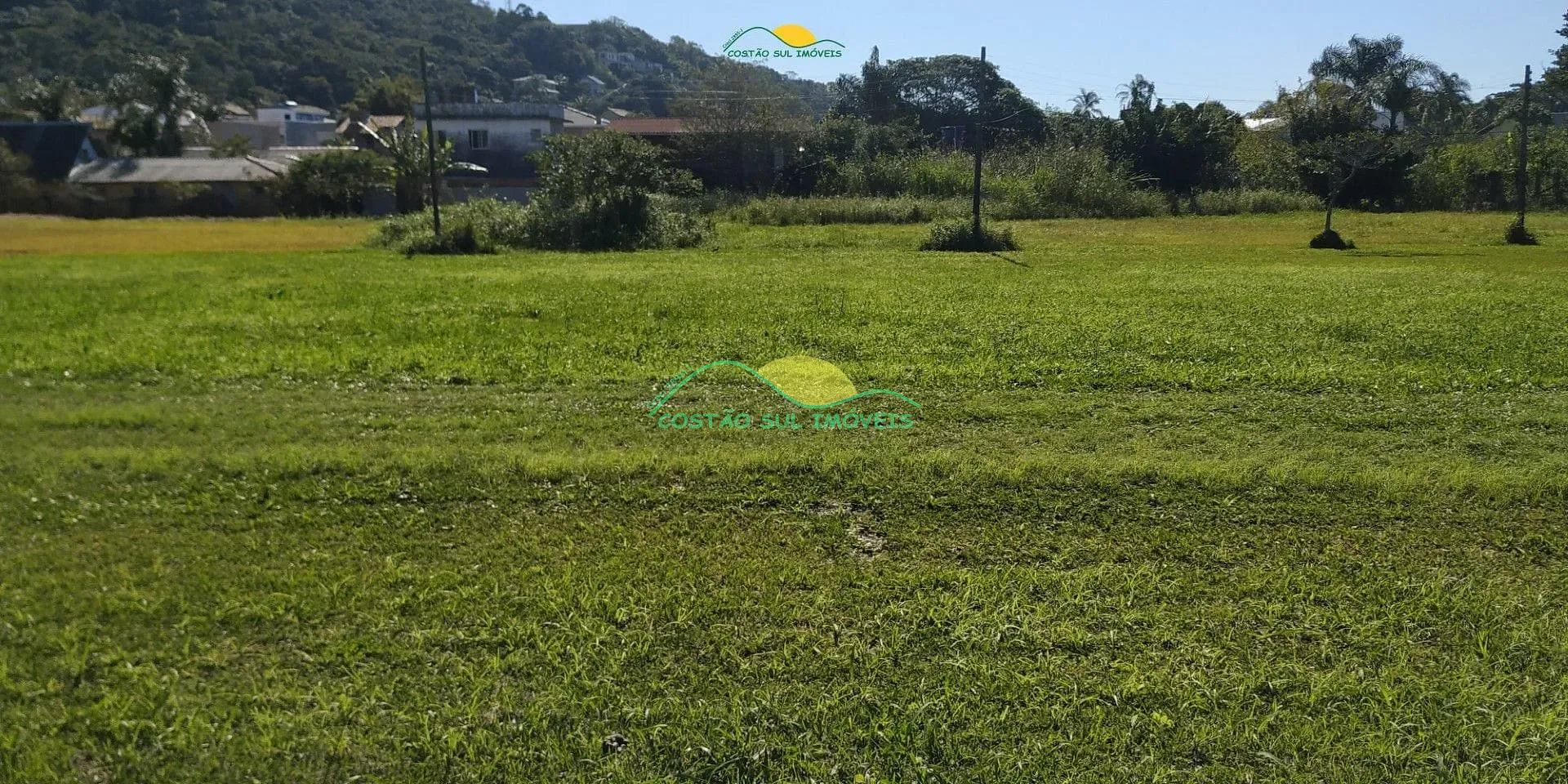 Terreno, 2 hectares - Foto 6