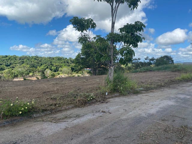 Terreno com 709m², à venda, no bairro Praia Grande em Fundão