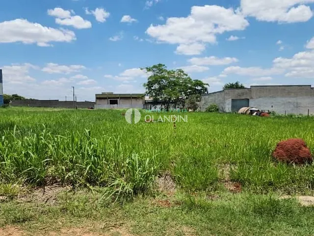 Terreno com 745m², à venda, no bairro Novo Tempo em Artur Nogueira