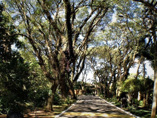 Terreno com 519m², à venda, no bairro Bosque do Vianna em Cotia