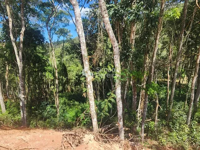 Terreno com 3696m², à venda, no bairro Balança em Simão Pereira
