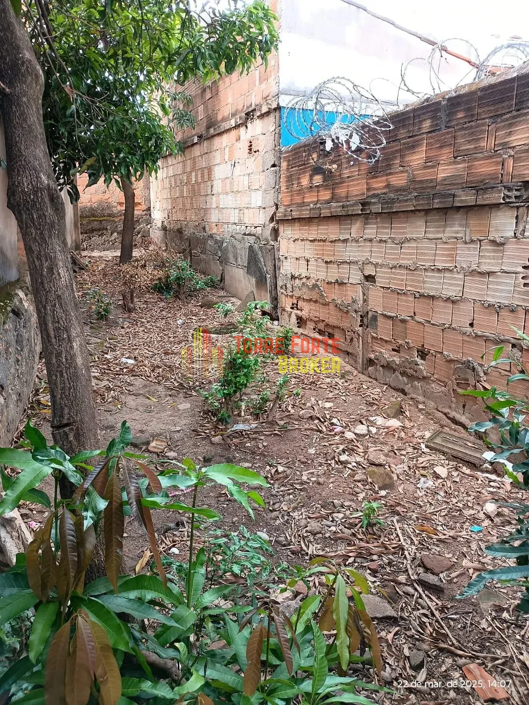 Terreno, 390 m² - Foto 4