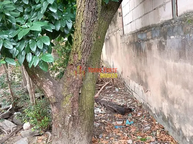 Terreno com 390m², à venda, no bairro Eymard em Belo Horizonte