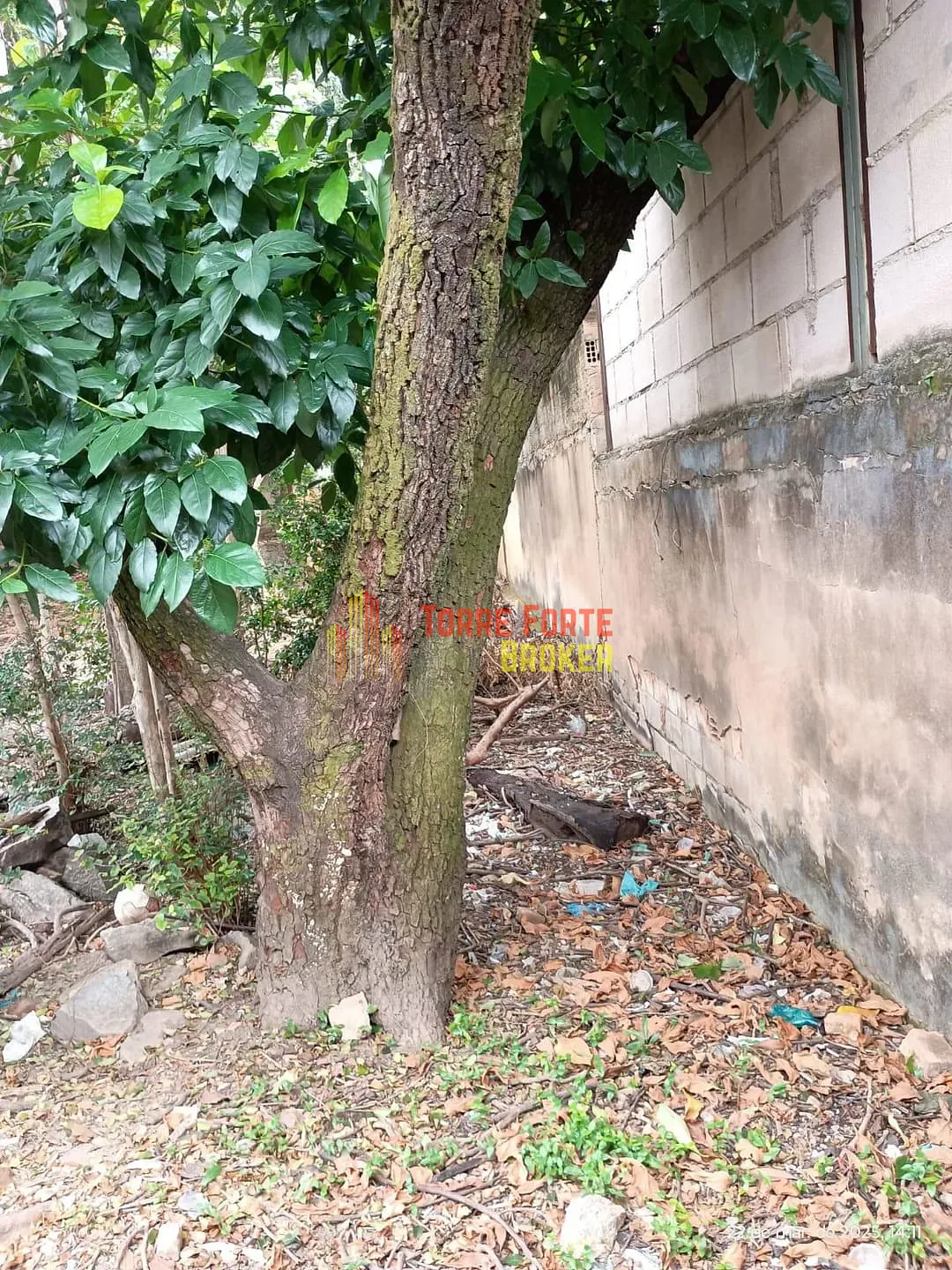Terreno, 390 m² - Foto 3
