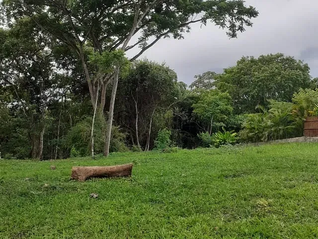 Terreno com 918m², à venda, no bairro São Pedro em Camaragibe