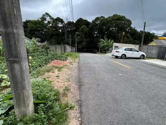 Terreno à venda, no bairro Roseira de São Sebastião em São José Dos Pinhais