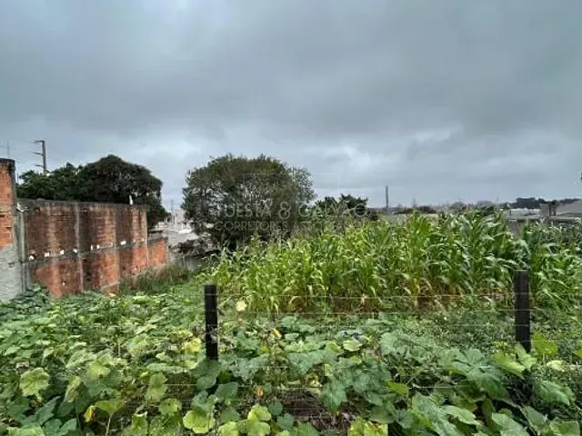 Terreno à venda, no bairro Roseira de São Sebastião em São José Dos Pinhais