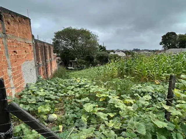 Terreno à venda, no bairro Roseira de São Sebastião em São José Dos Pinhais