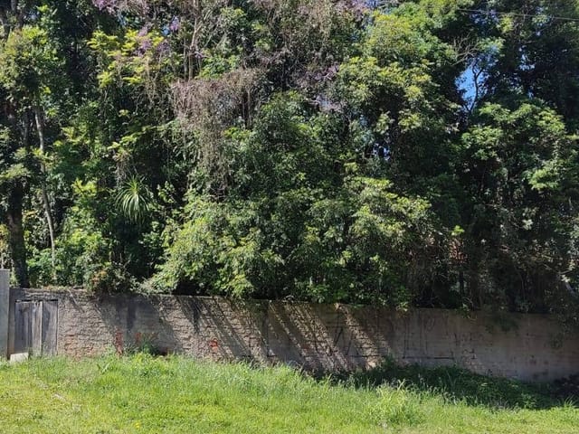 Terreno com 746m², à venda, no bairro Barreirinha em Curitiba