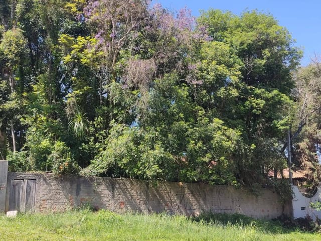 Terreno com 746m², à venda, no bairro Barreirinha em Curitiba