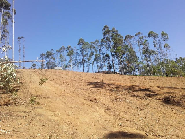 Foto do Terreno - Terreno à venda, 1000 m² por R$ 63.600,00 - Ibiúna - Ibiúna/SP | Collina Imóveis