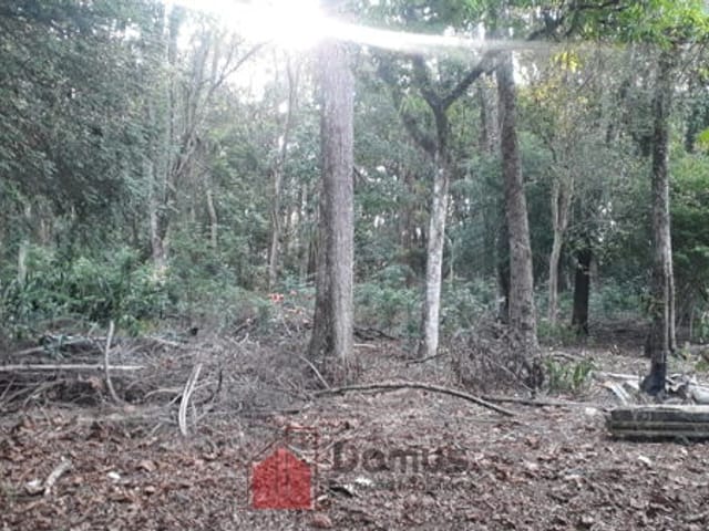 Terreno com 29770m², à venda, no bairro Jardim Campo Alegre em Pindamonhangaba