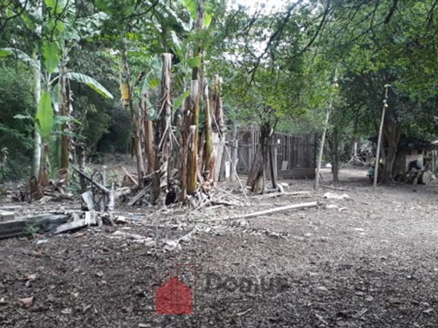 Terreno com 29770m², à venda, no bairro Jardim Campo Alegre em Pindamonhangaba