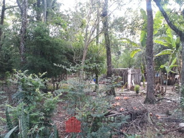 Terreno com 29770m², à venda, no bairro Jardim Campo Alegre em Pindamonhangaba