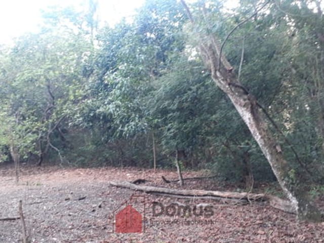 Terreno com 29770m², à venda, no bairro Jardim Campo Alegre em Pindamonhangaba