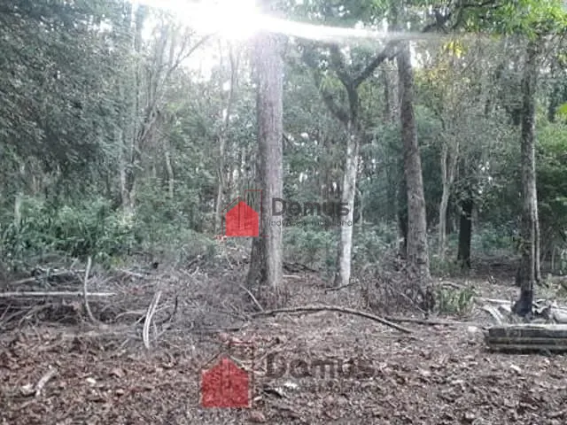 Terreno com 29770m², à venda, no bairro Jardim Campo Alegre em Pindamonhangaba