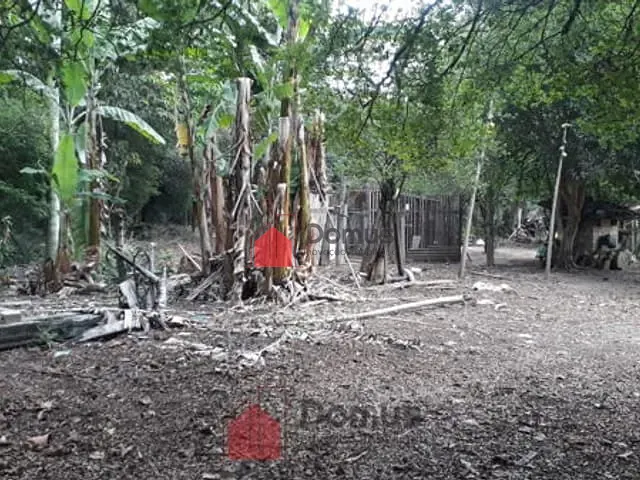 Terreno com 29770m², à venda, no bairro Jardim Campo Alegre em Pindamonhangaba