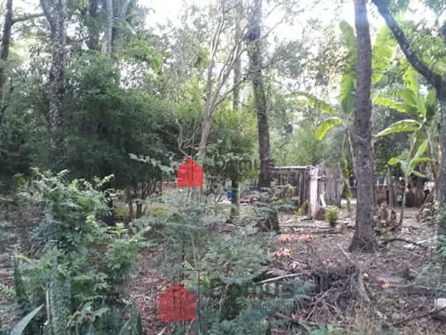 Terreno com 29770m², à venda, no bairro Jardim Campo Alegre em Pindamonhangaba