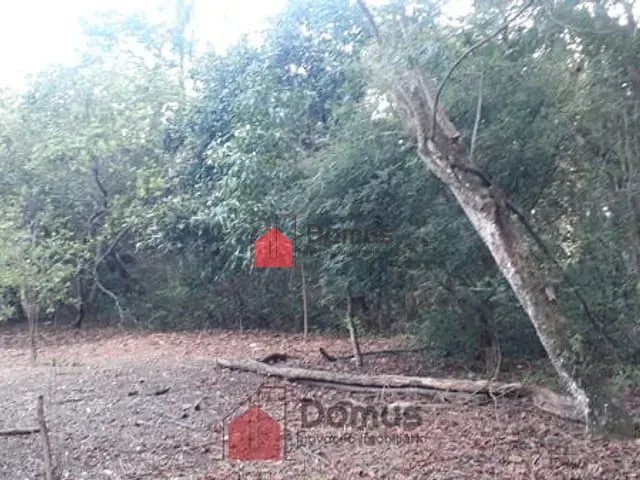 Terreno com 29770m², à venda, no bairro Jardim Campo Alegre em Pindamonhangaba