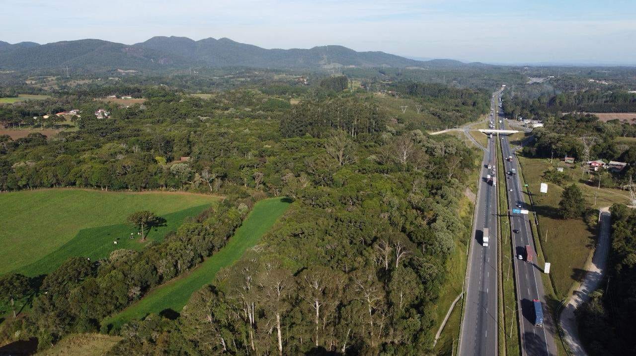 Terreno à venda, 18600m² - Foto 1