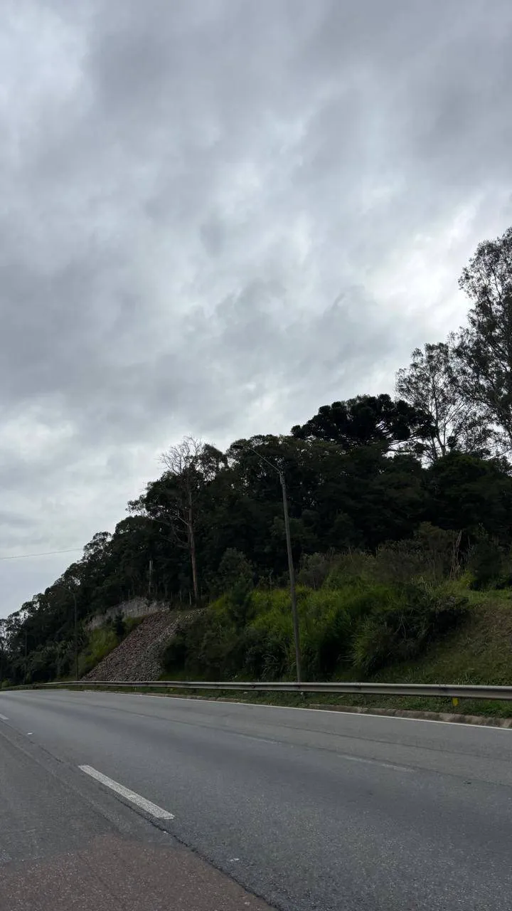 Terreno, 2 hectares - Foto 16