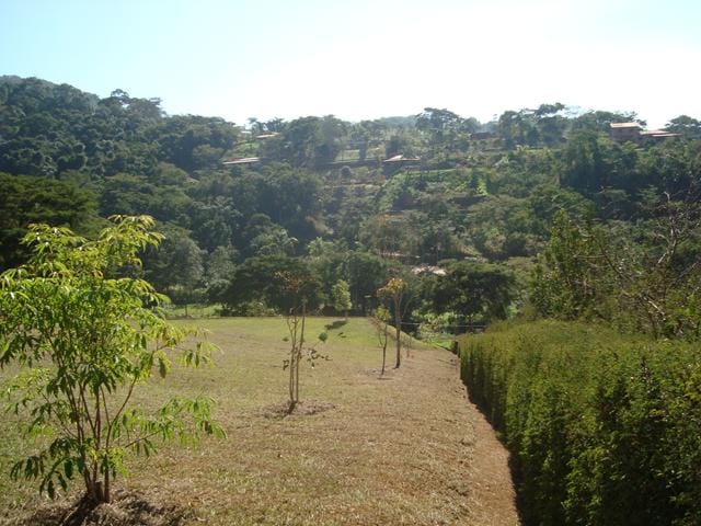 Terreno à venda, no bairro Centro em Simão Pereira