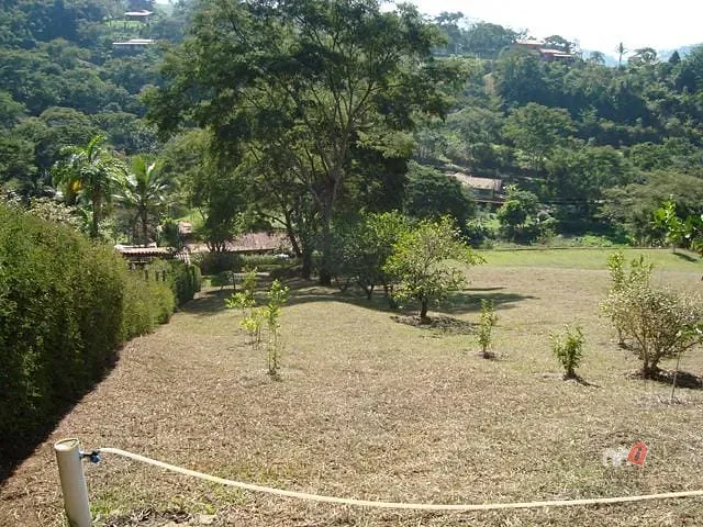 Terreno à venda, no bairro Centro em Simão Pereira