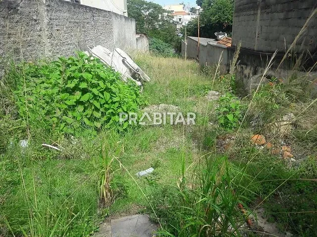 Terreno com 430m², para alugar, no bairro Alto da Lapa em São Paulo