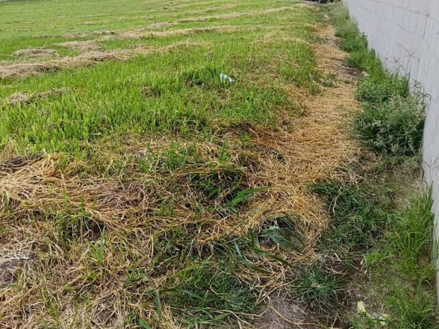Terreno com 698m², à venda, no bairro Vila São Geraldo em Taubaté