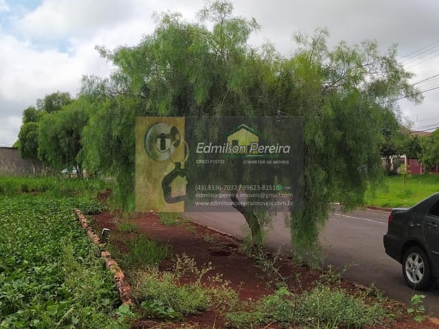 Foto do Terreno - Ótimo terreno de 250 metros comercial no jardim Leblon | Edmilson Pereira Corretor de Imóveis em Londrina