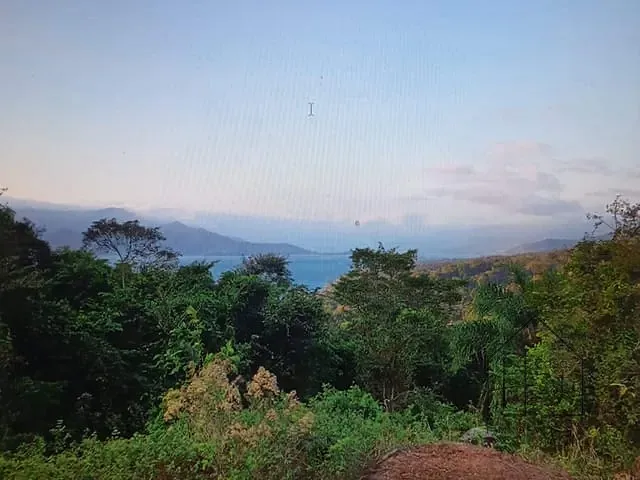 Terreno com 24260m², à venda, no bairro São Pedro (Cambaquara) em Ilhabela