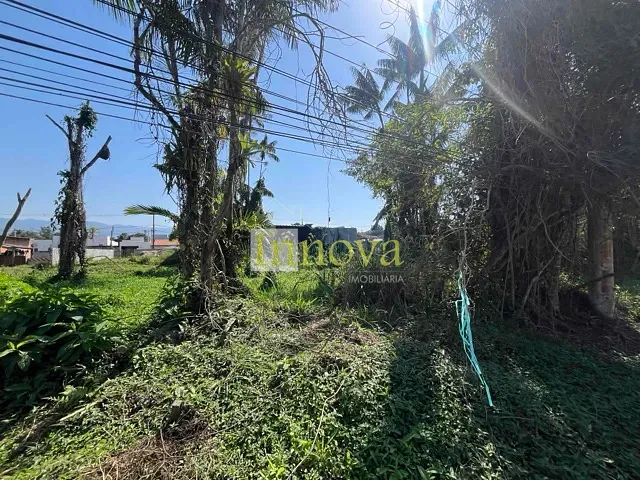 Terreno com 250m², à venda, no bairro Balneário dos Golfinhos em Caraguatatuba