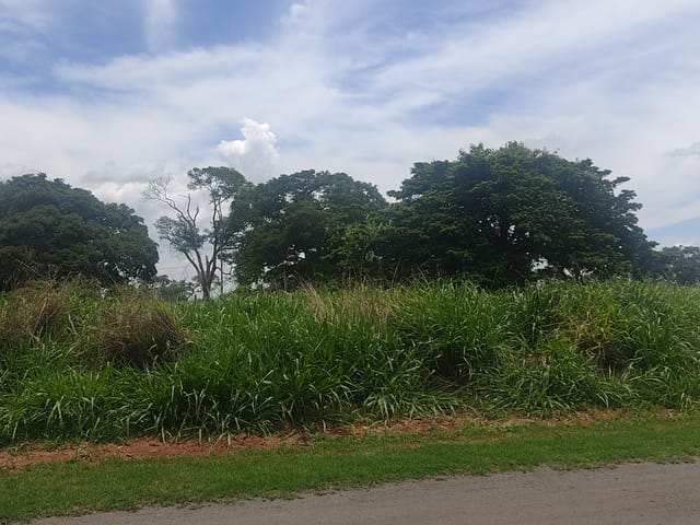 Terreno com 2190m², à venda, no bairro Vila Florença em Santo Antônio De Goiás